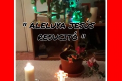 WhatsApp-Image-2020-04-13-at-11.42.45-2