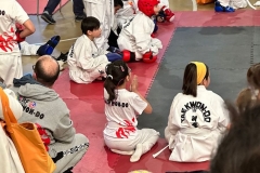 Taekwondo-Campeonato7