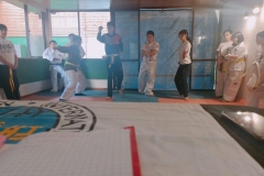 Taekwondo-examen2