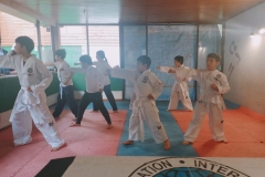 Taekwondo-examen6