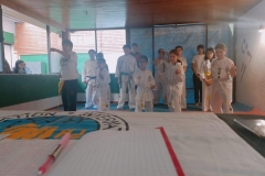 Taekwondo-examen8