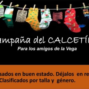 Calcetín