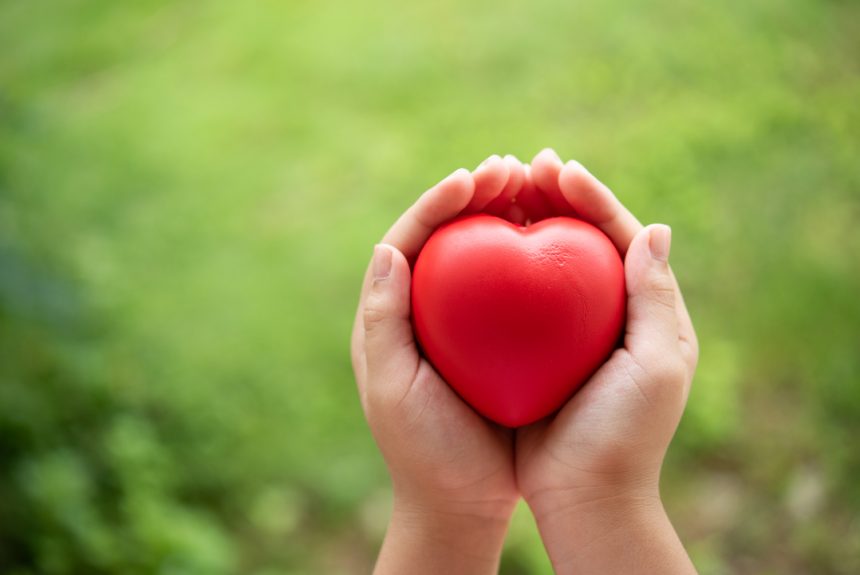 Comité Solidario