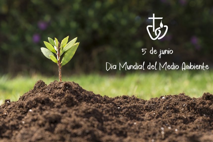 Día Mundial del Medio Ambiente