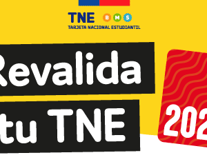 Revalida tu TNE 2020 Revalidar TNE 2020