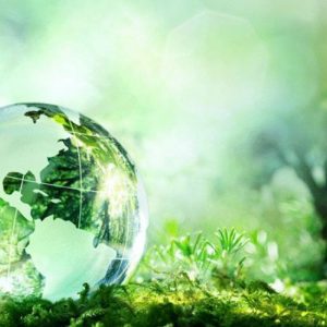Día internacional del medio ambiente