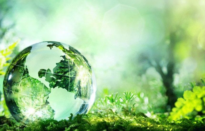 Día internacional del medio ambiente