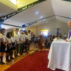 Adviento y piochas IVº