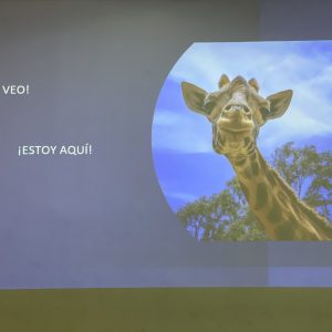 ¡Te veo! ¡Estoy aquí!
