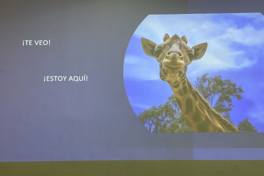¡Te veo! ¡Estoy aquí!