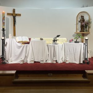 Pentecostés 2024 Colegio sscc Providencia