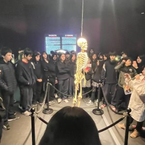 Descubriendo la maravilla del cuerpo humano