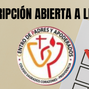 foto-entrada Elecciones CC.PP. 2025-2026