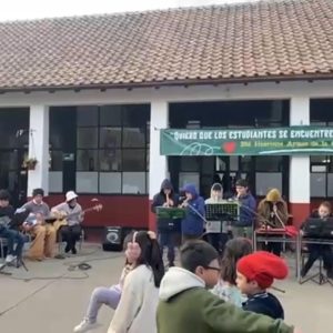 Retomamos los “Viernes Musicales”